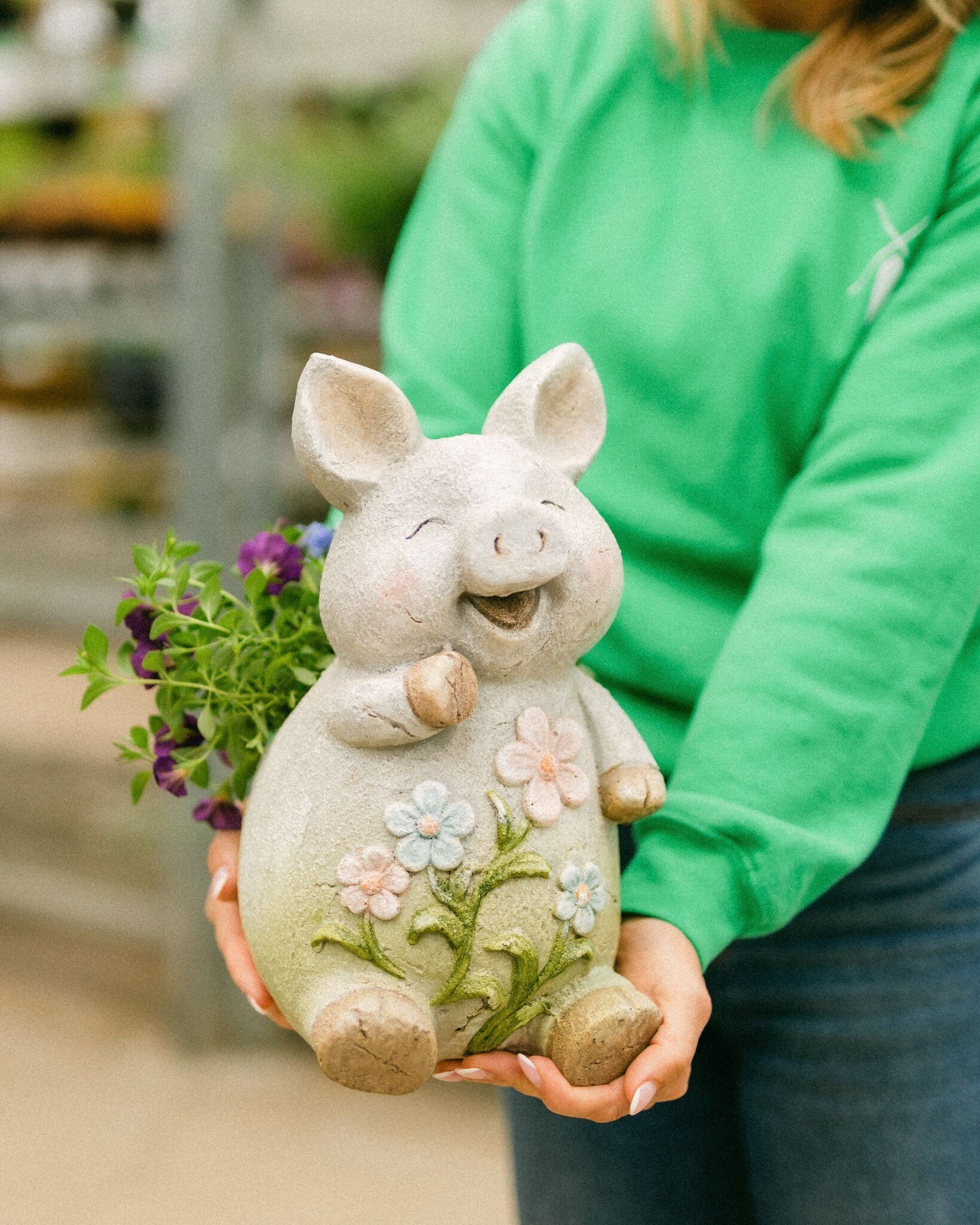 Dutch Growers Hogs + Kisses Mothers Day Arrangement