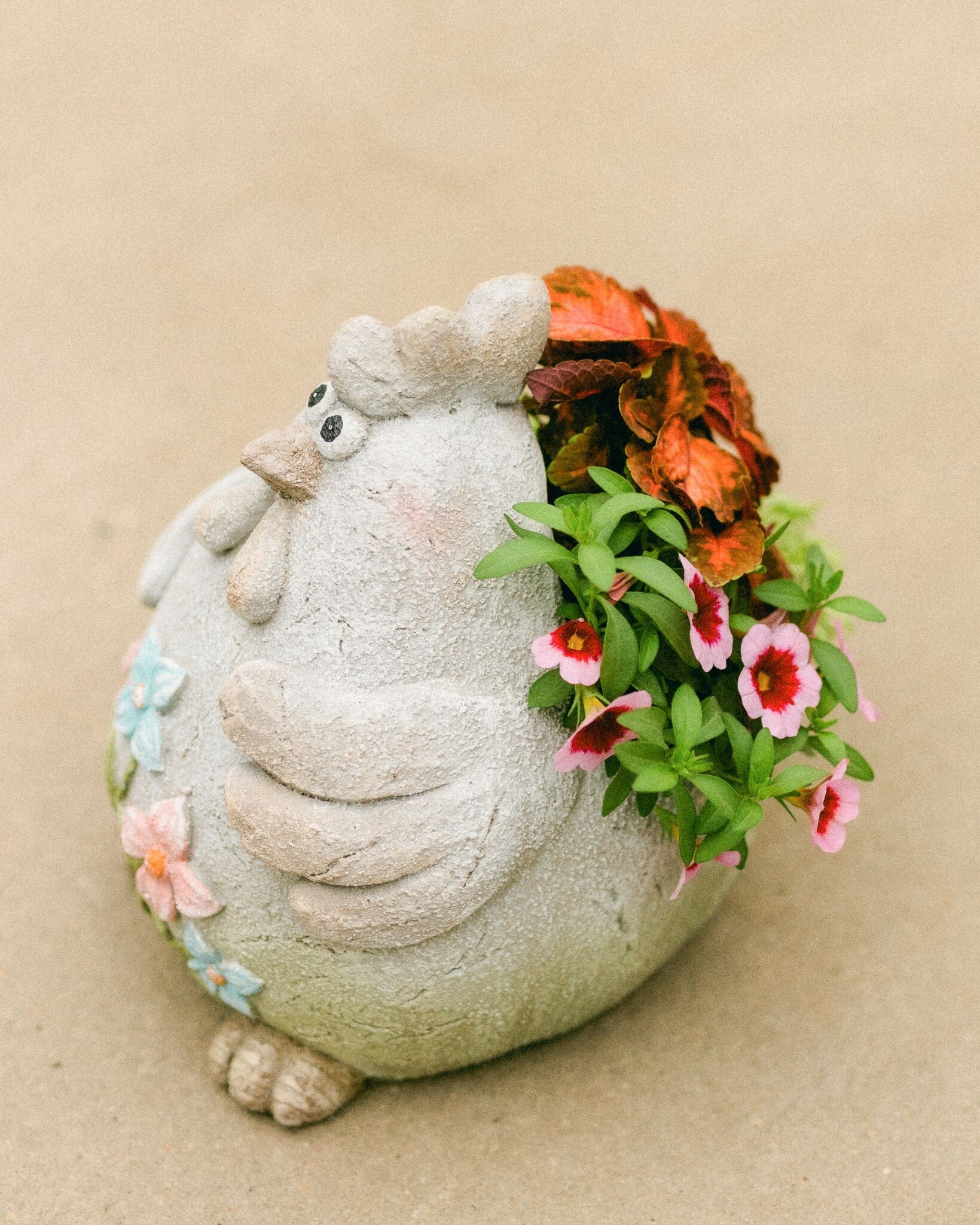 Dutch Growers Cock-A-Doodled Bloom Mothers Day Arrangement