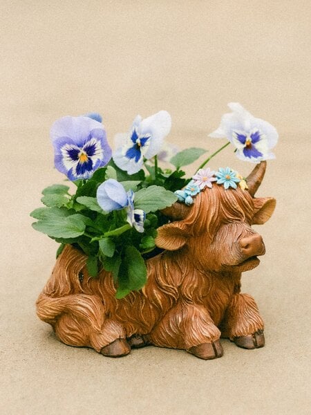 Dutch Growers Moo-ther's Love  Mothers Day Arrangement