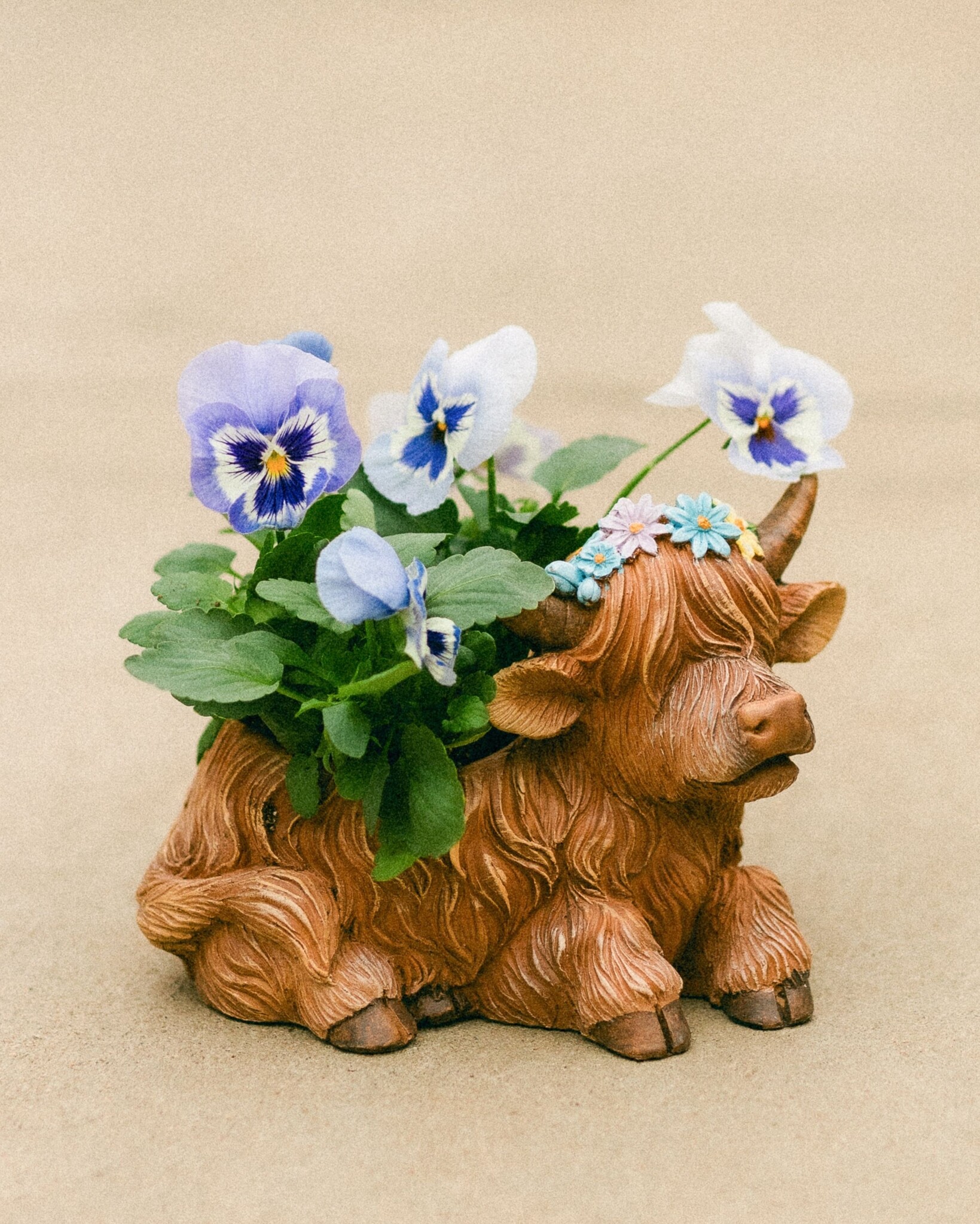 Dutch Growers Moo-ther's Love  Mothers Day Arrangement
