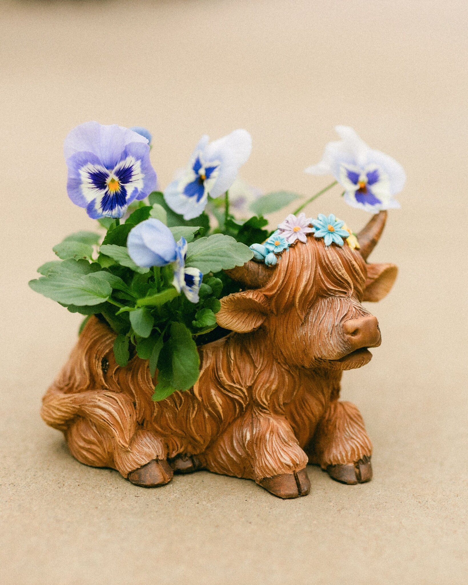 Dutch Growers Moo-ther's Love  Mothers Day Arrangement
