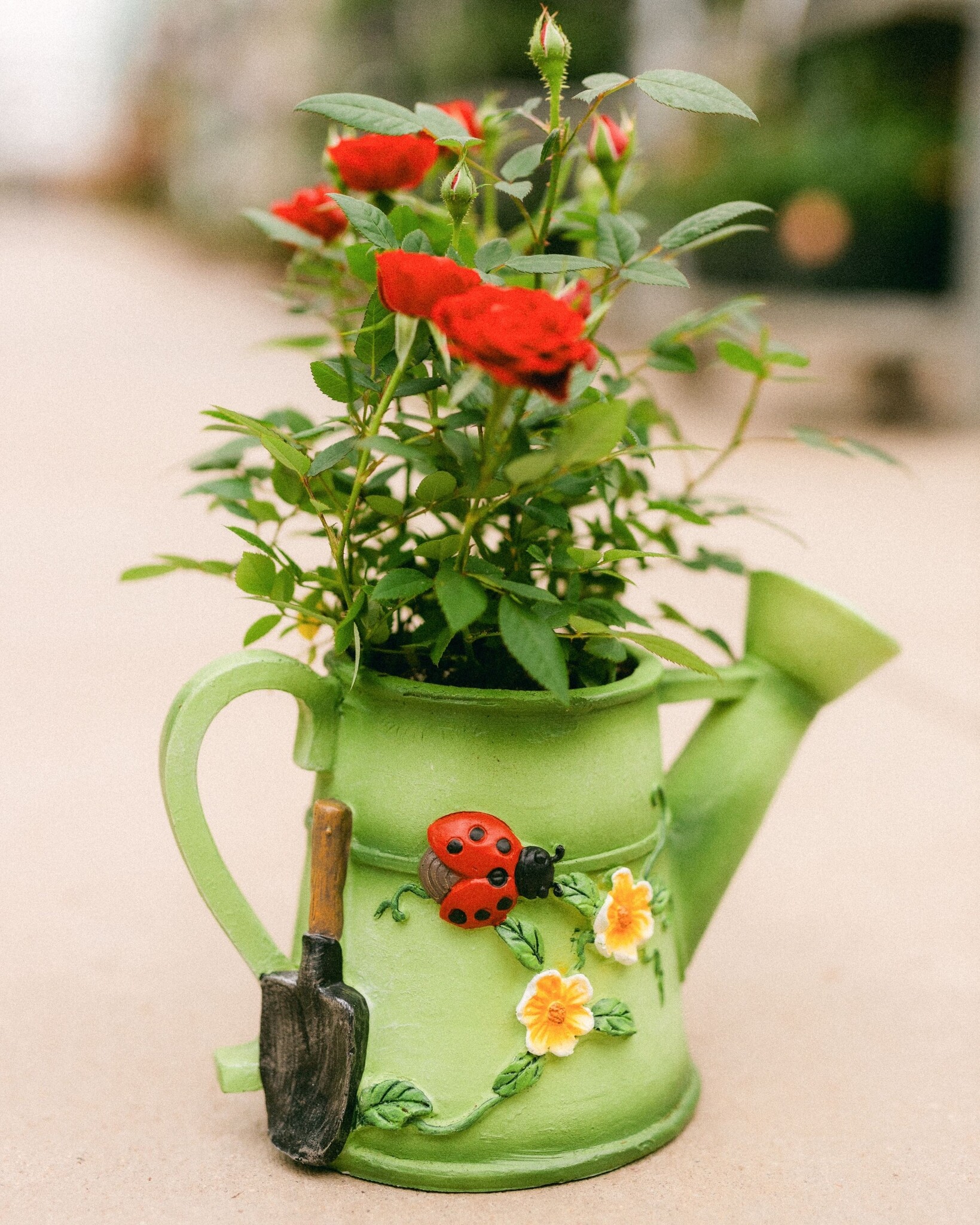 Dutch Growers The Blooming Can  Mothers Day Arrangement