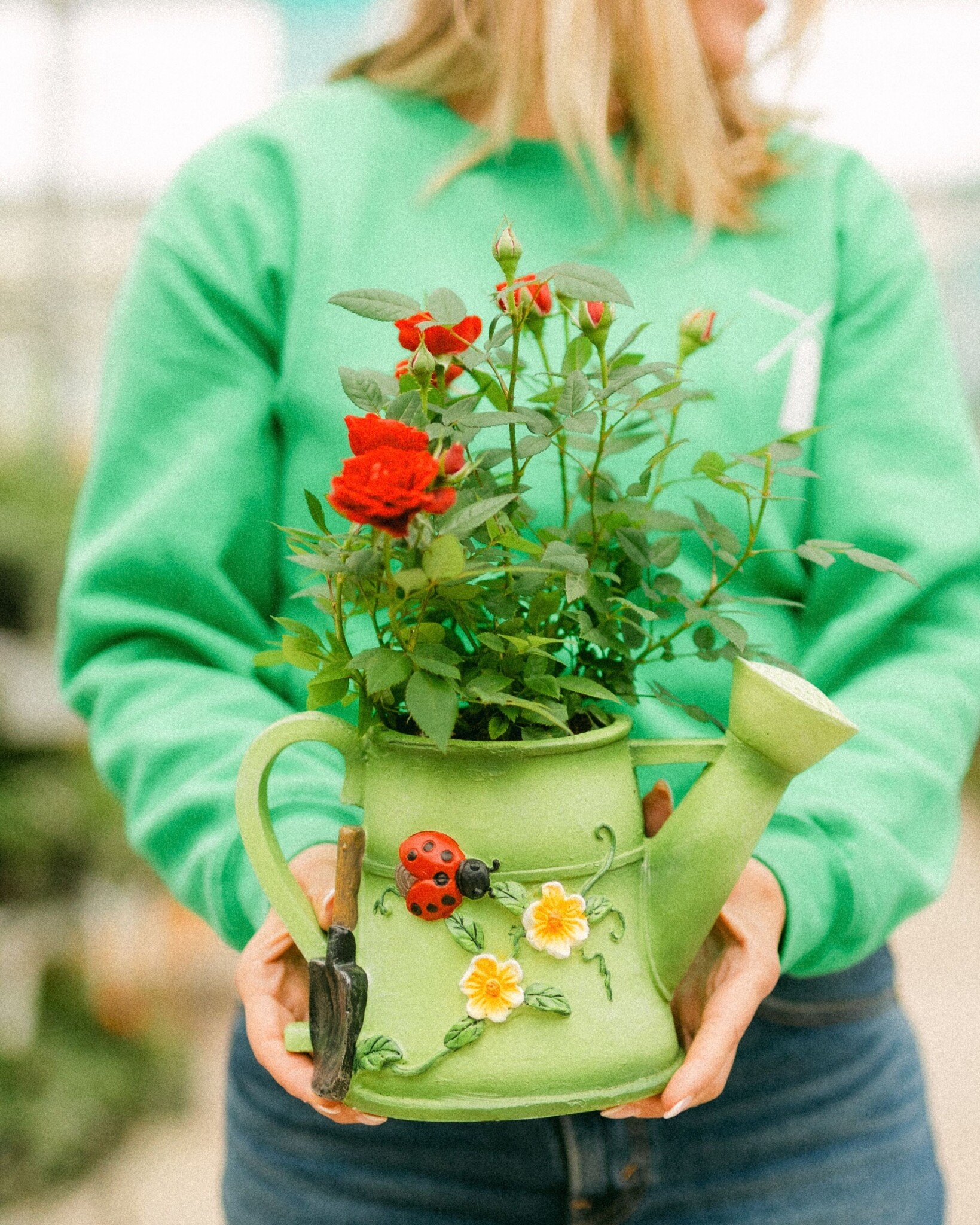 Dutch Growers The Blooming Can  Mothers Day Arrangement