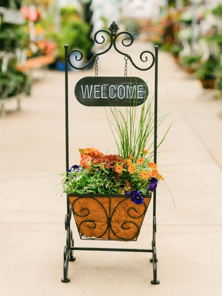 Dutch Growers A Mother's Welcome Mothers Day Arrangement