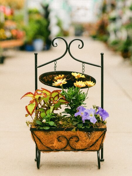 Dutch Growers Moms Warm Welcome Mothers Day Arrangement