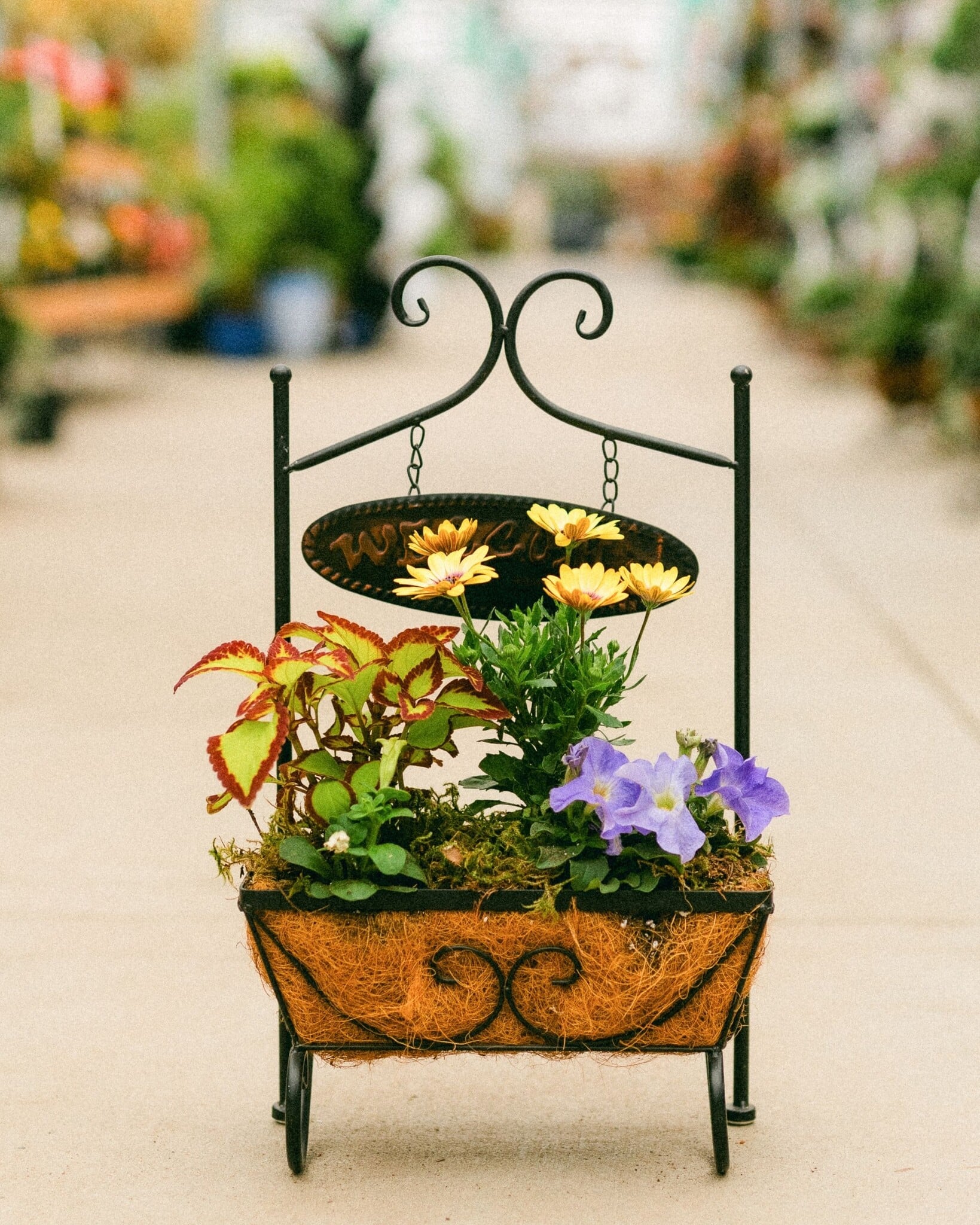 Dutch Growers Moms Warm Welcome Mothers Day Arrangement