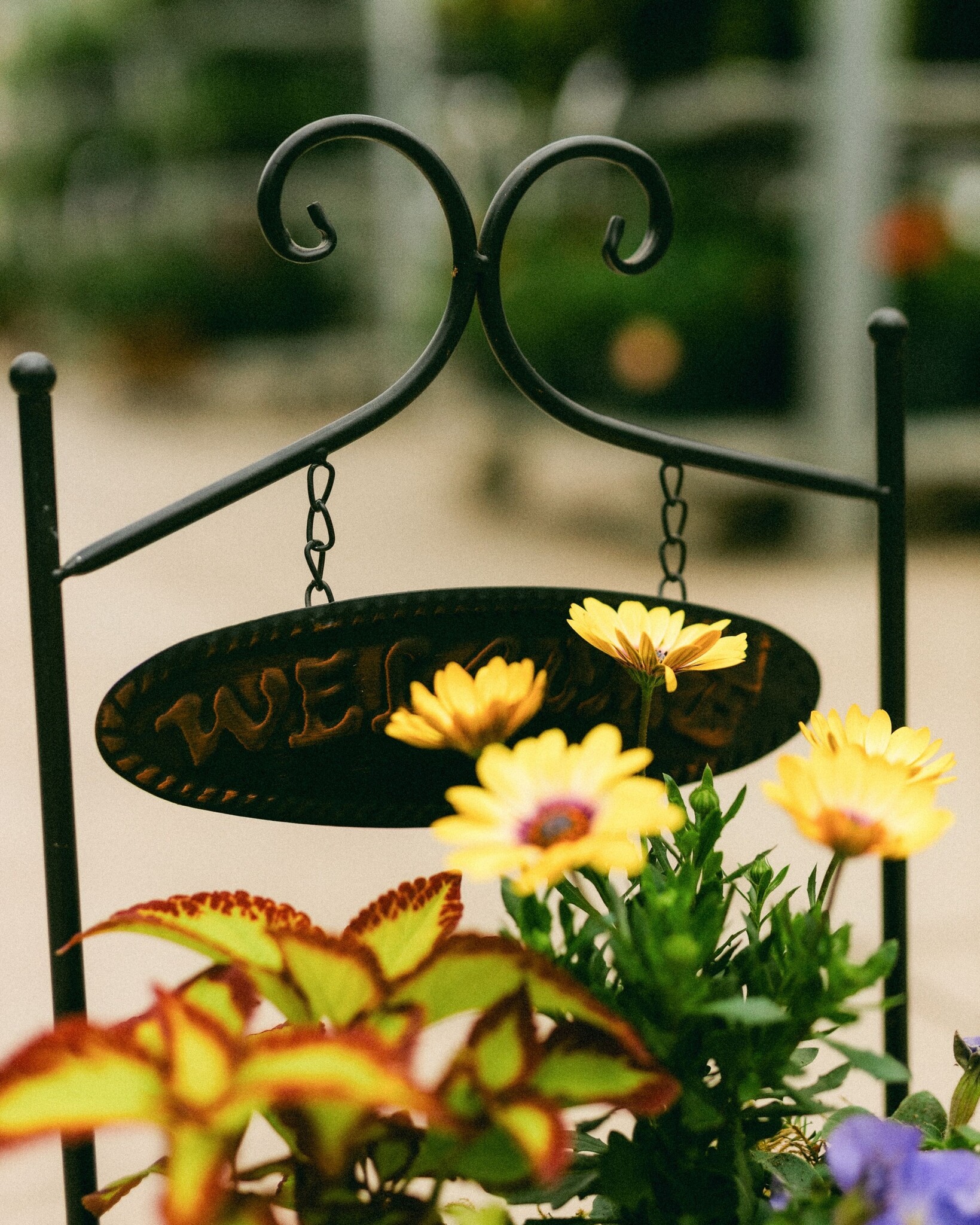 Dutch Growers Moms Warm Welcome Mothers Day Arrangement