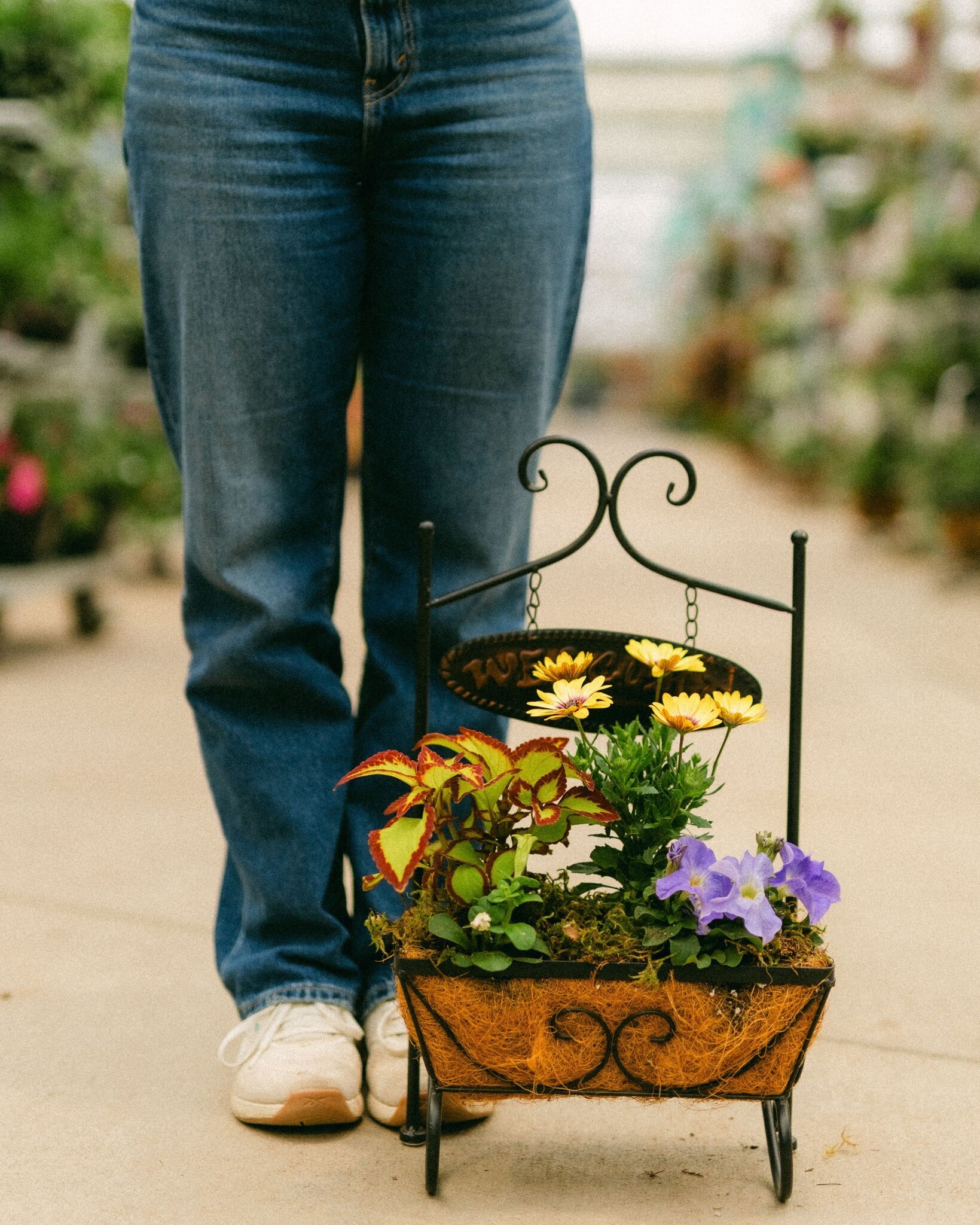 Dutch Growers Moms Warm Welcome Mothers Day Arrangement