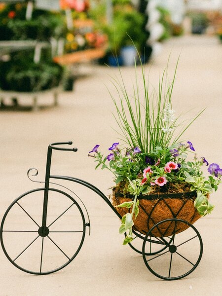 Dutch Growers Tour de Mom Mothers Day Arrangement
