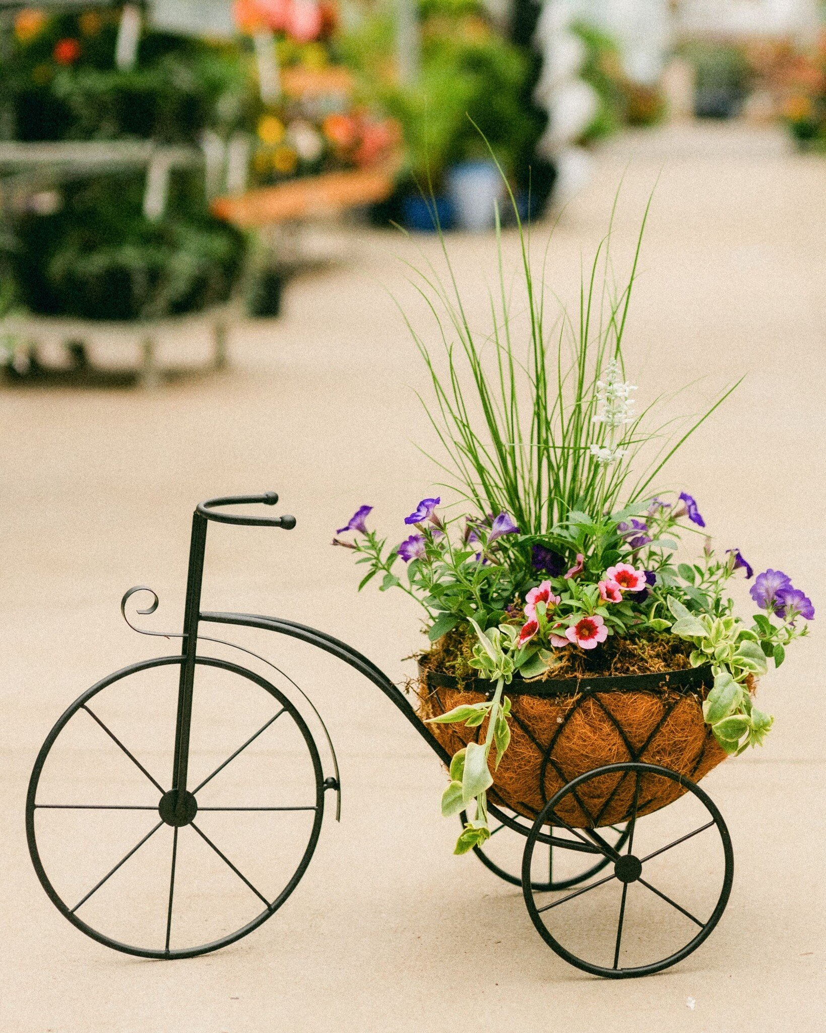 Dutch Growers Tour de Mom Mothers Day Arrangement