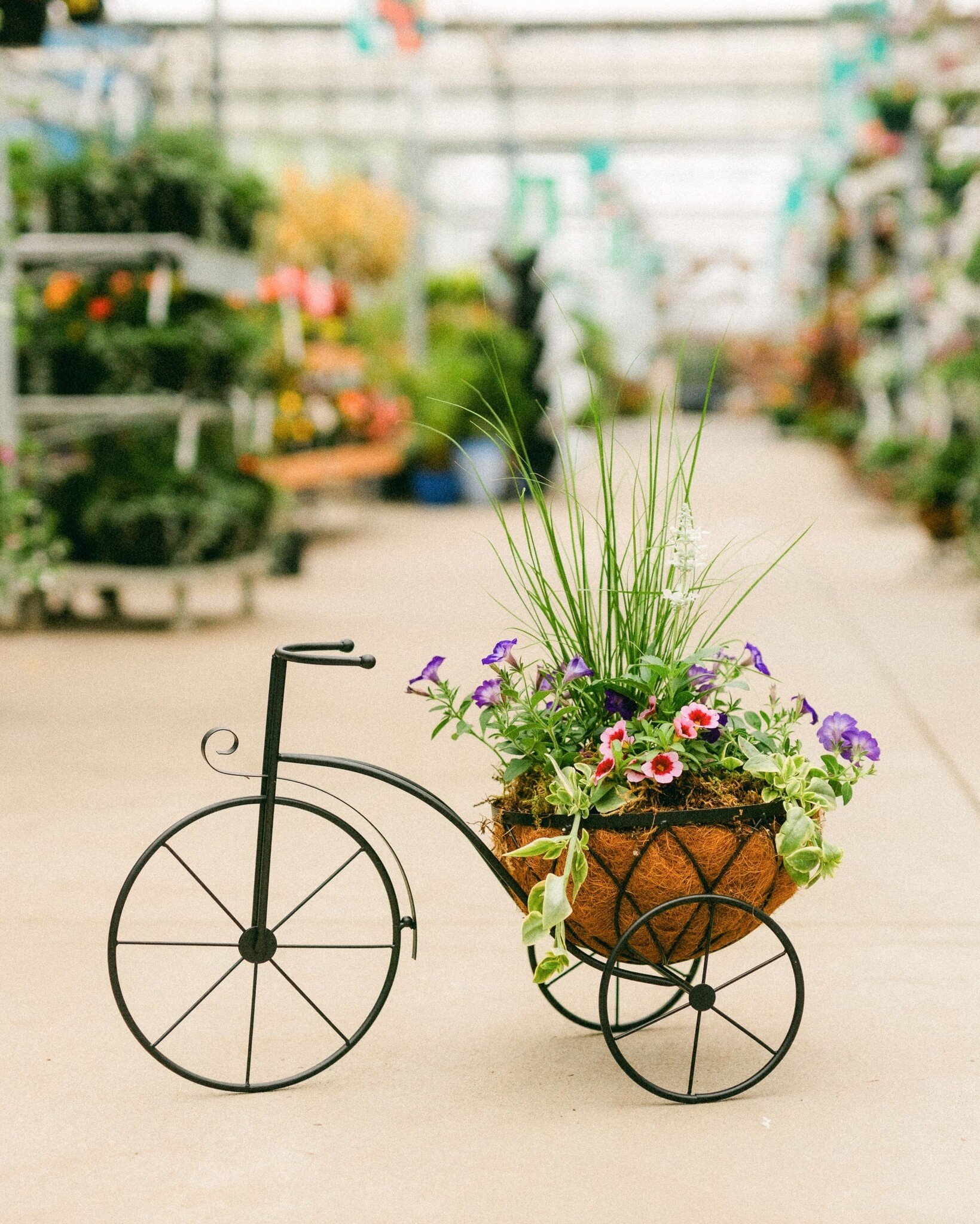 Dutch Growers Tour de Mom Mothers Day Arrangement