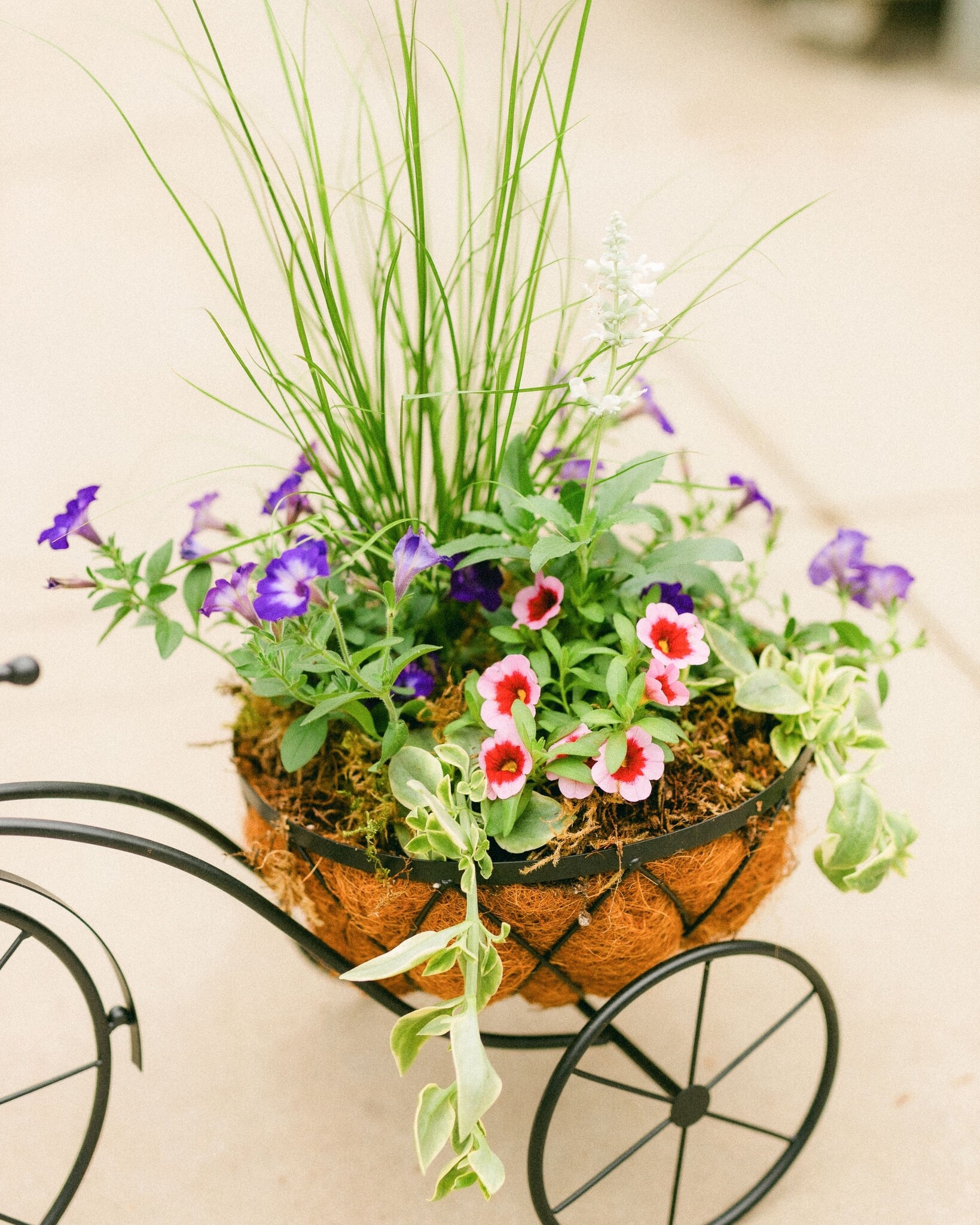 Dutch Growers Tour de Mom Mothers Day Arrangement
