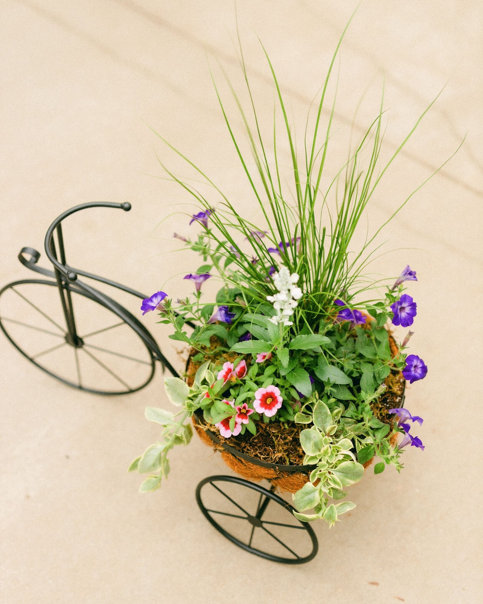 Dutch Growers Tour de Mom Mothers Day Arrangement