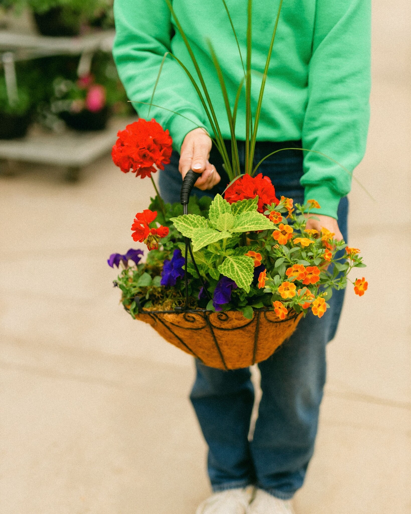 Dutch Growers Moms Flower Basket (small) Mothers Day Arrangement