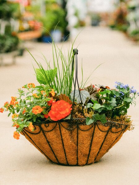 Dutch Growers Moms Flower Basket (large) Mothers Day Arrangement