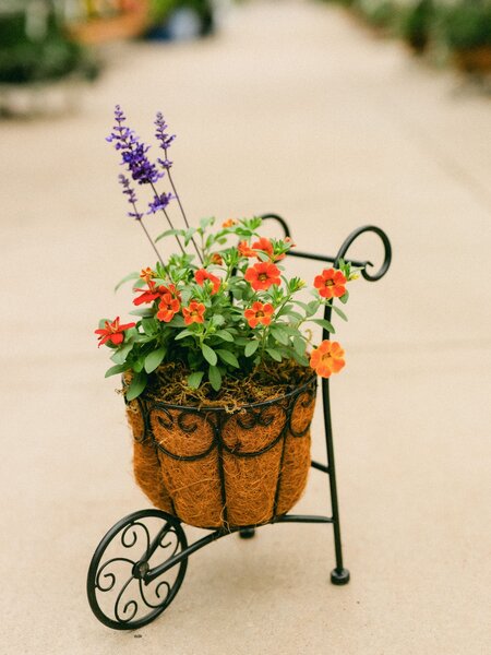 Dutch Growers Moms Little Garden Mothers Day Arrangement
