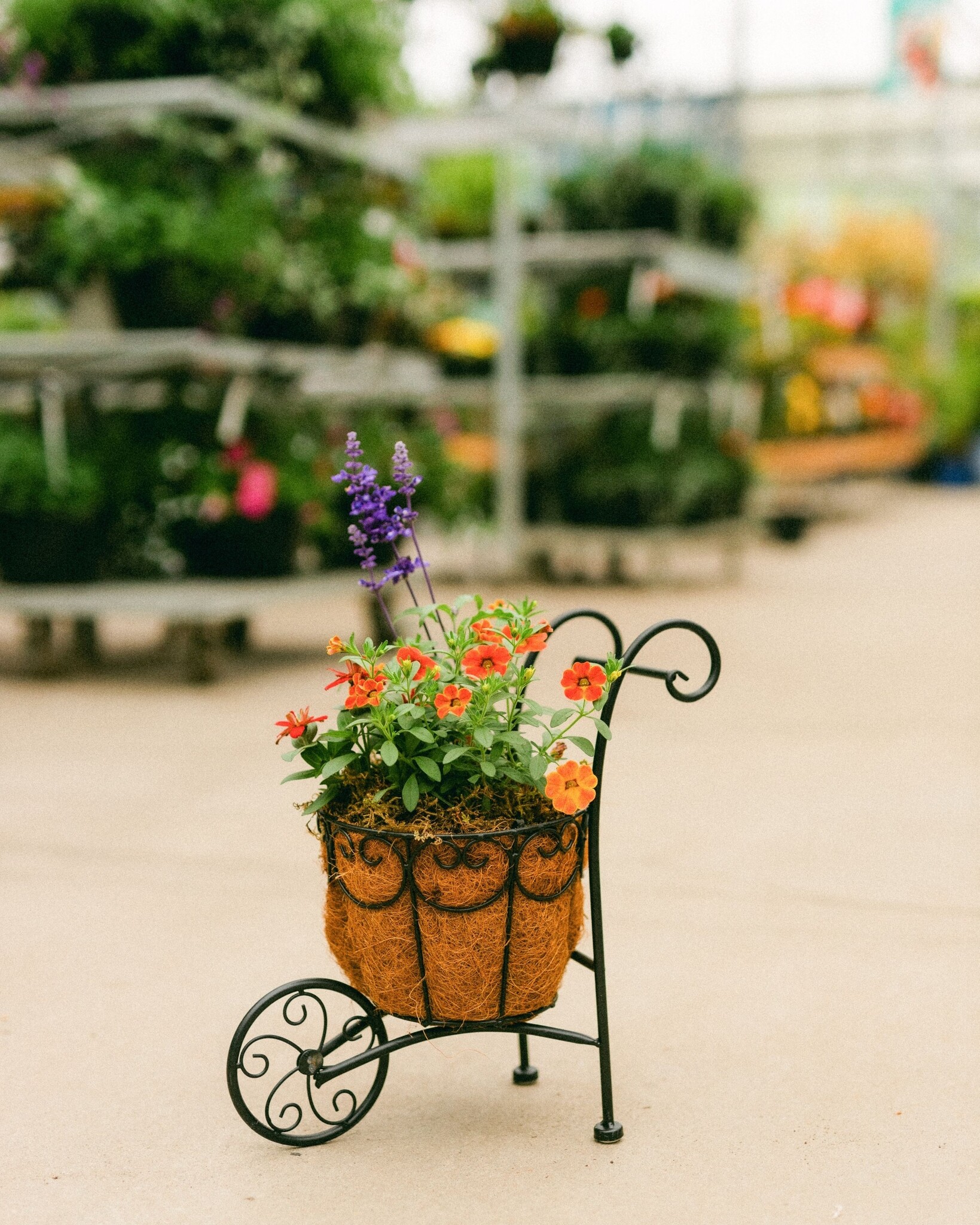 Dutch Growers Moms Little Garden Mothers Day Arrangement