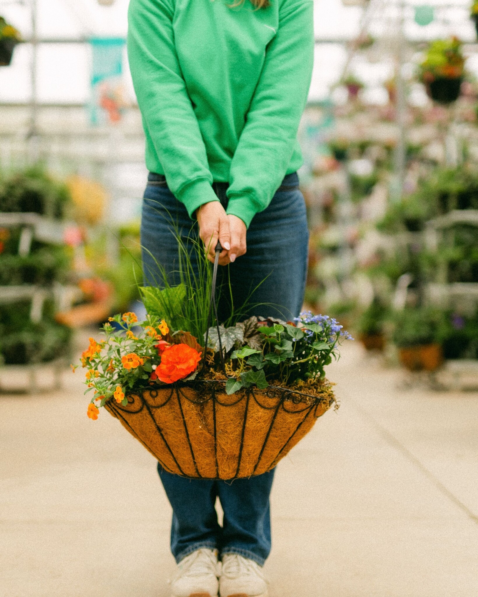 Dutch Growers Moms Little Garden Mothers Day Arrangement
