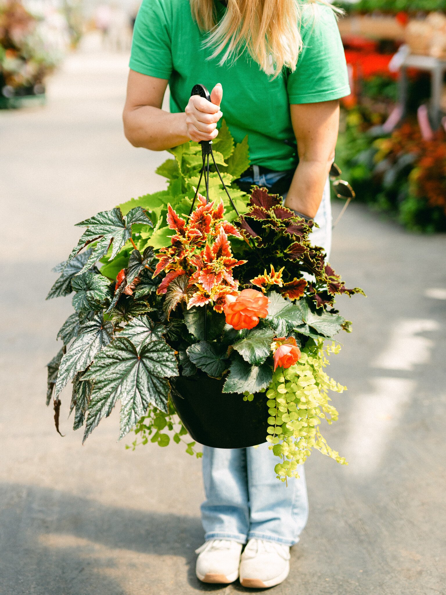 Begonia  Goldie #15 Hanging Basket 14" Shade