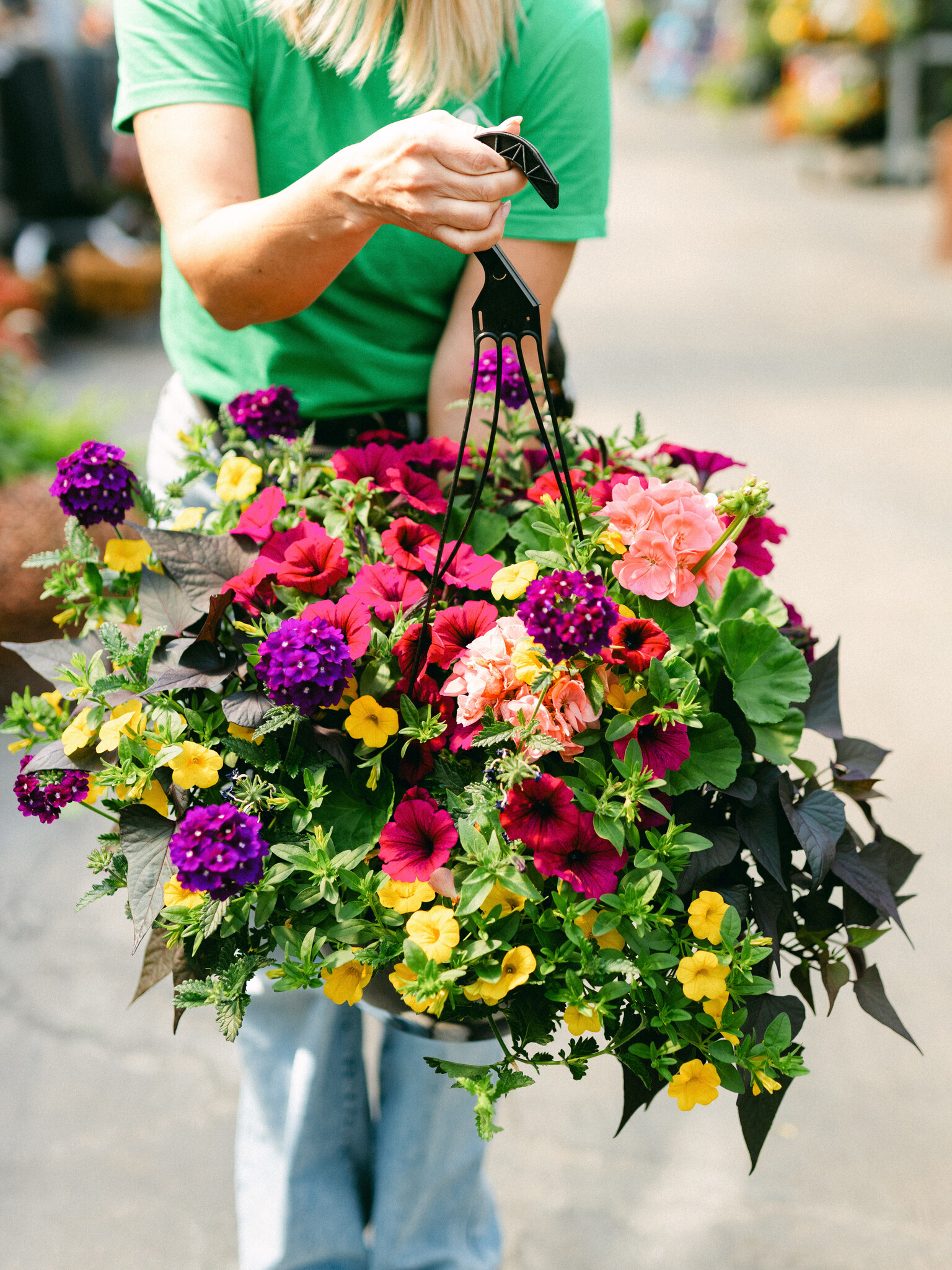 Bejeweled #13 Hanging Basket 14" Sun