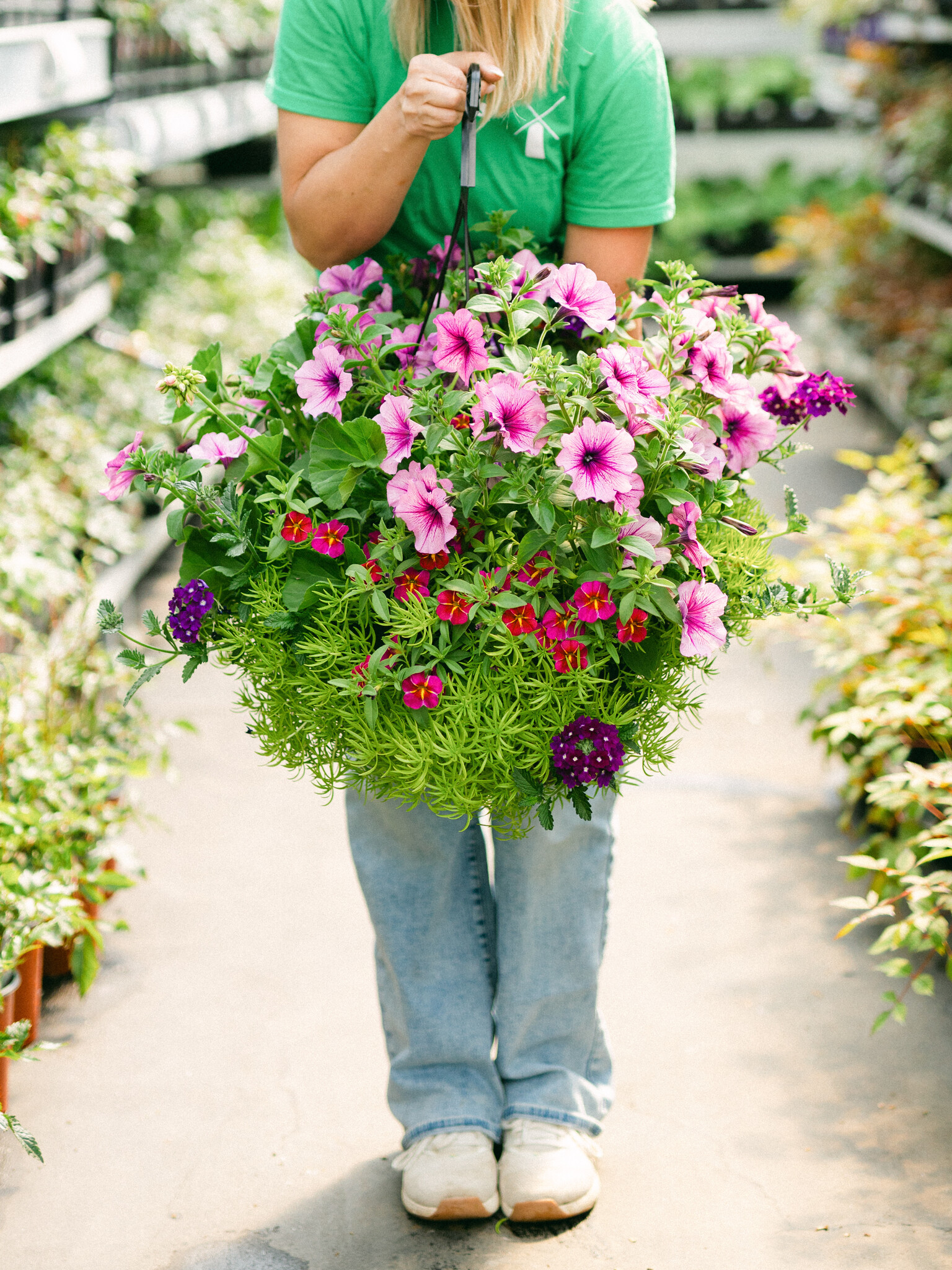 Grape Fit #1 Hanging Basket 14" Sun