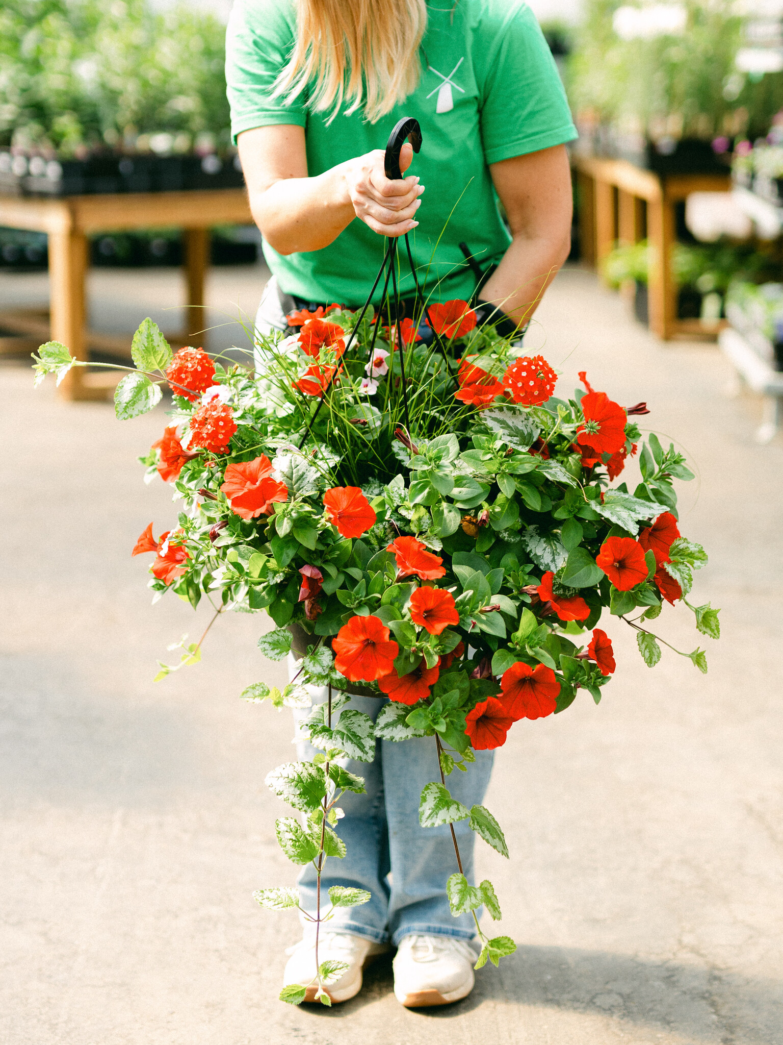 Hey Cupid #9 Hanging Basket 14" Sun