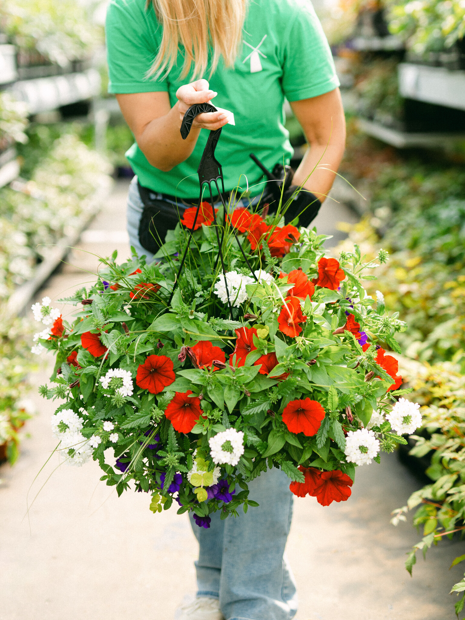 Liberty Bell #7 Hanging Basket 14" Sun