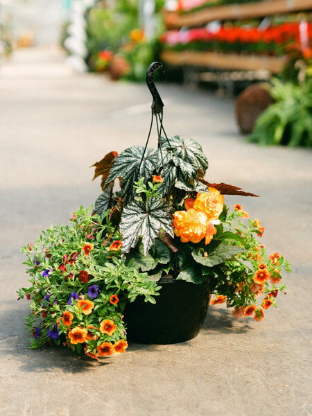 Single Ladies Slay #21 Hanging Basket 14" Shade