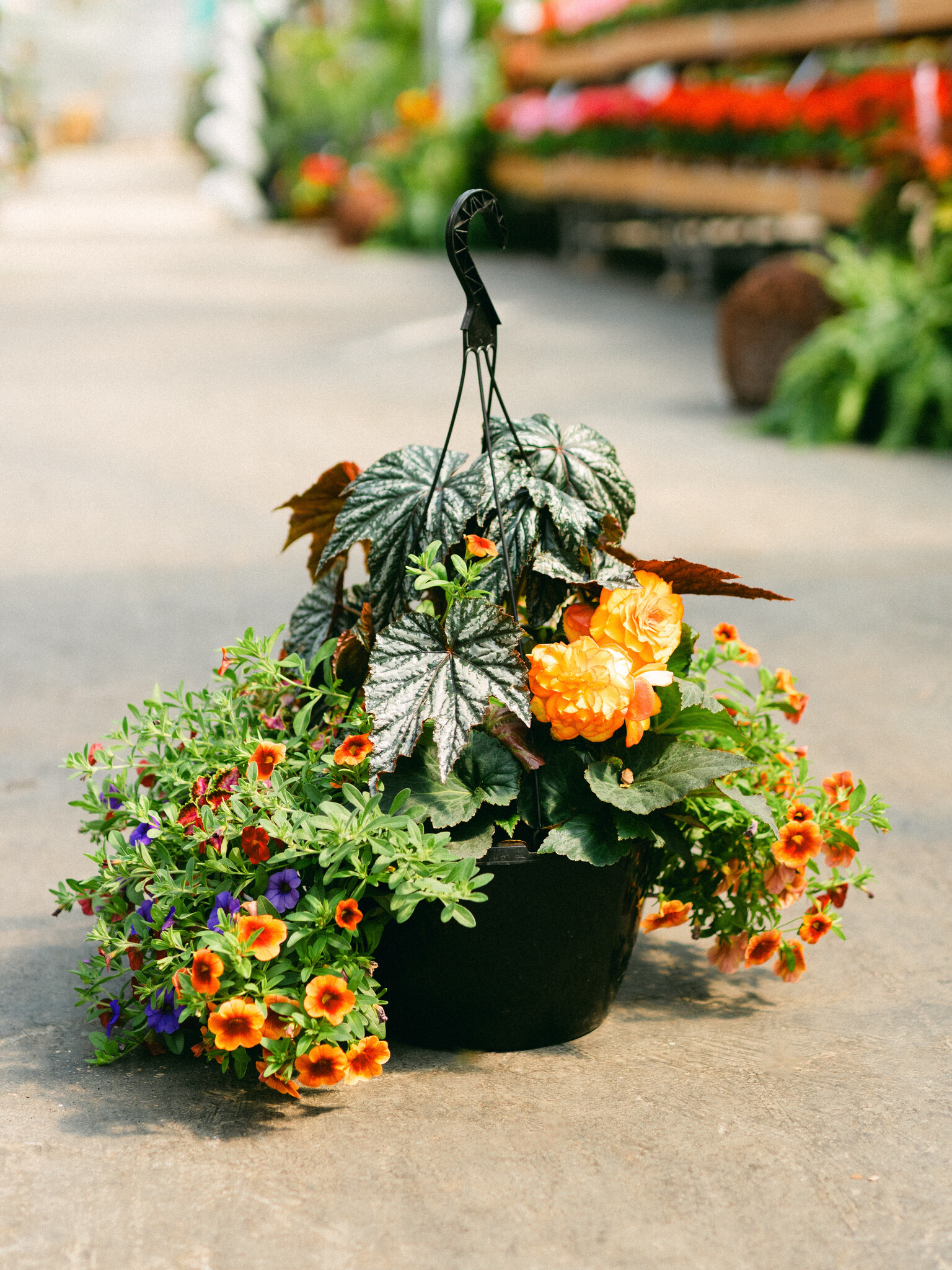 Single Ladies Slay #21 Hanging Basket 14" Shade
