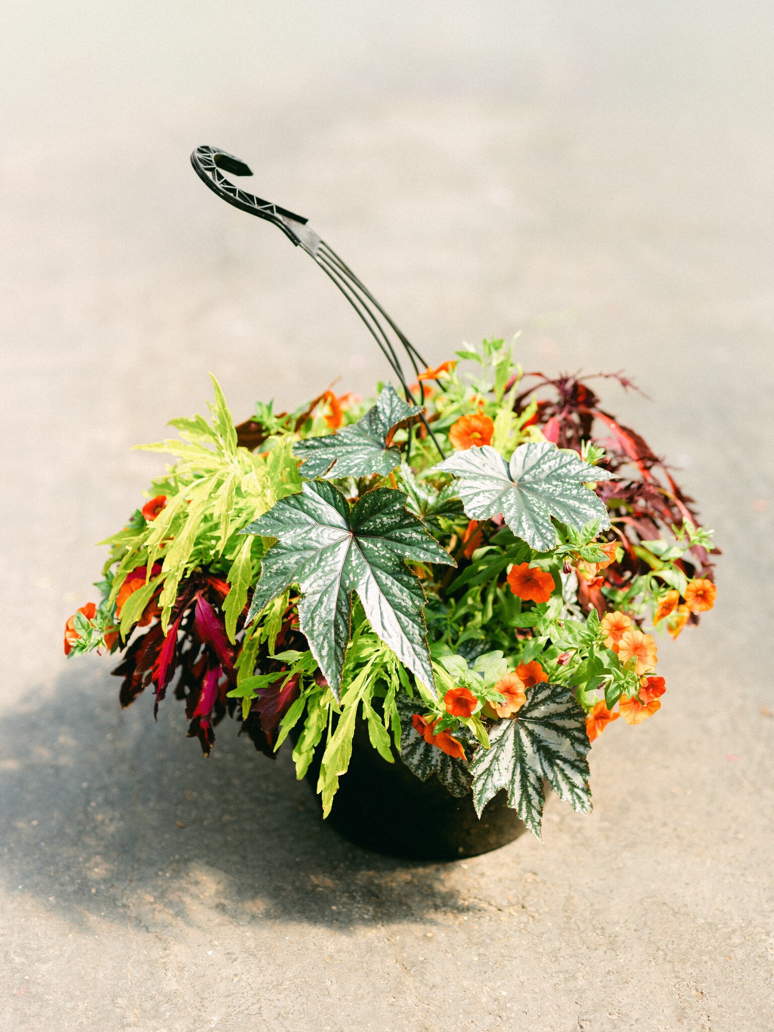 Times Square #18 Hanging Basket 14" Shade