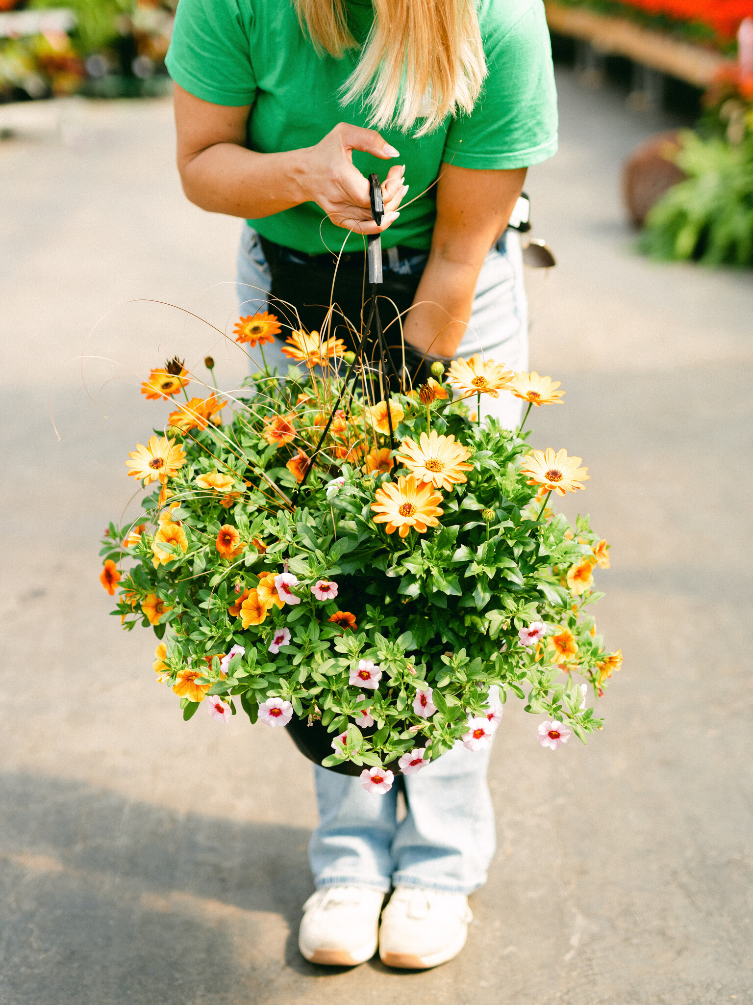 Who Knew Orleans #6 Hanging Basket 14" Sun