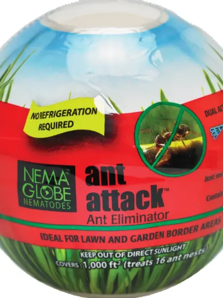 Nema Globe Ant Attack