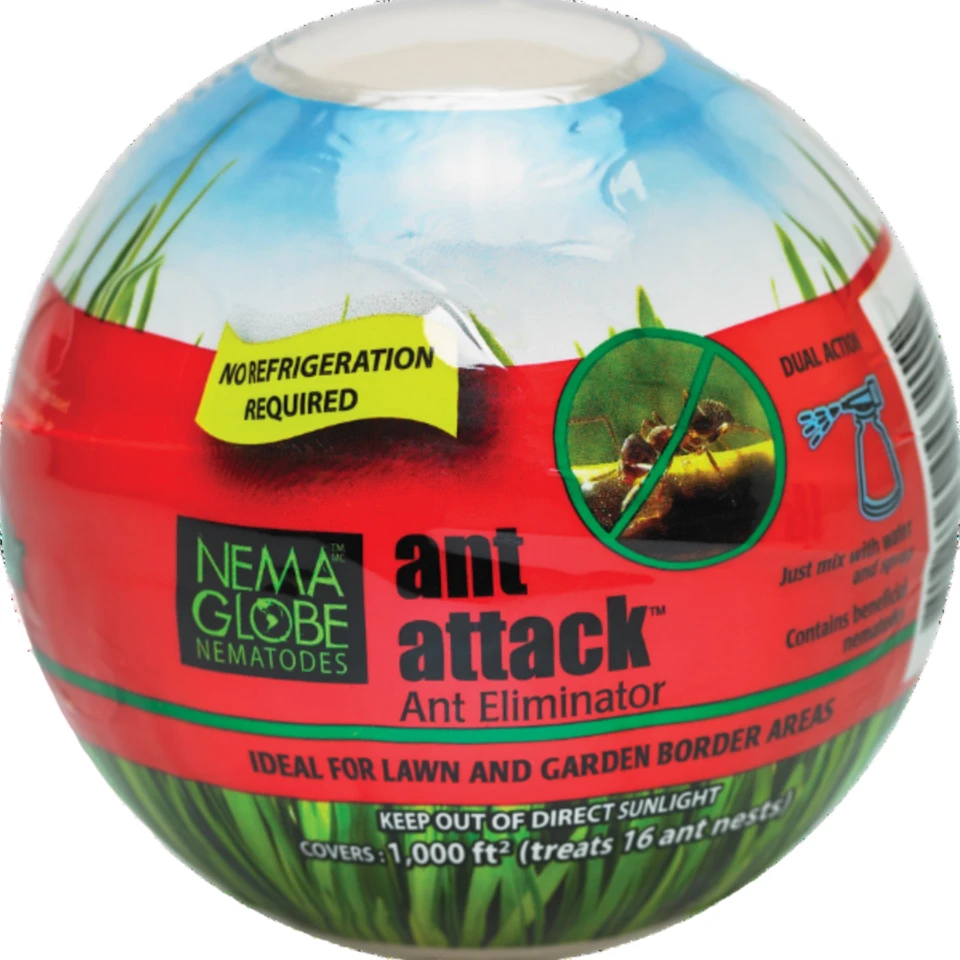 Nema Globe Ant Attack