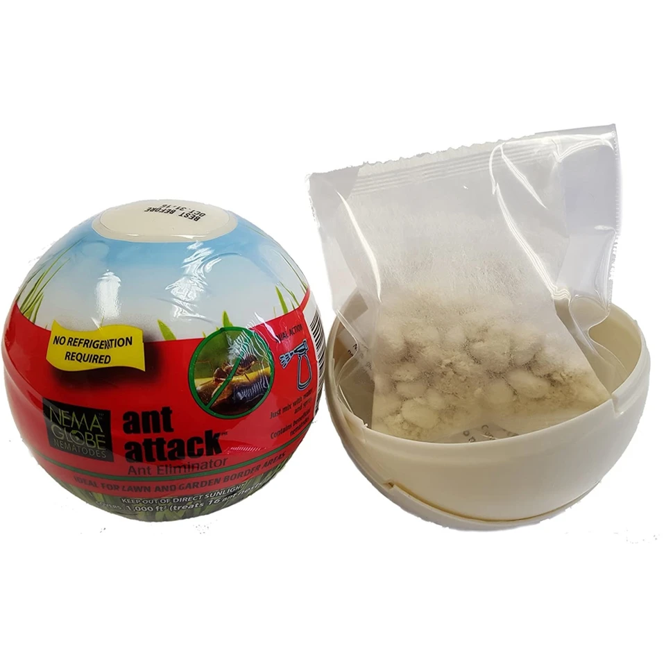 Nema Globe Ant Attack