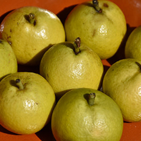 Pear Golden Spice