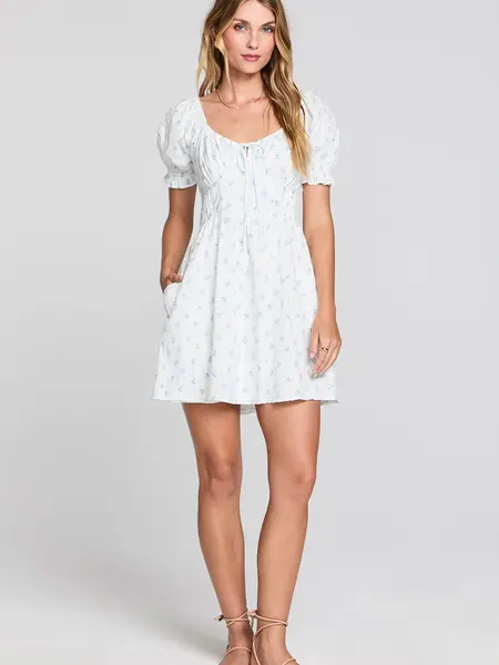 Saltwater Luxe Alaysia Mini Dress