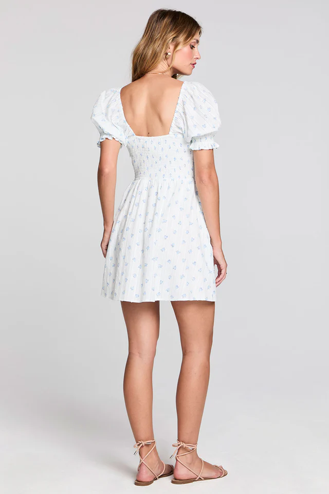 Saltwater Luxe Alaysia Mini Dress