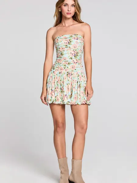 Saltwater Luxe Leightyn Mini Dress