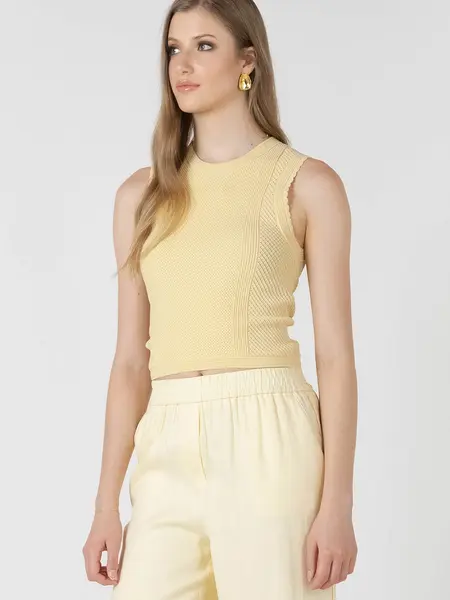 Dex Scalloped Pointelle Sweater Top