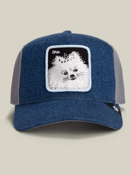Goorin Bros Diva Dawg Hat