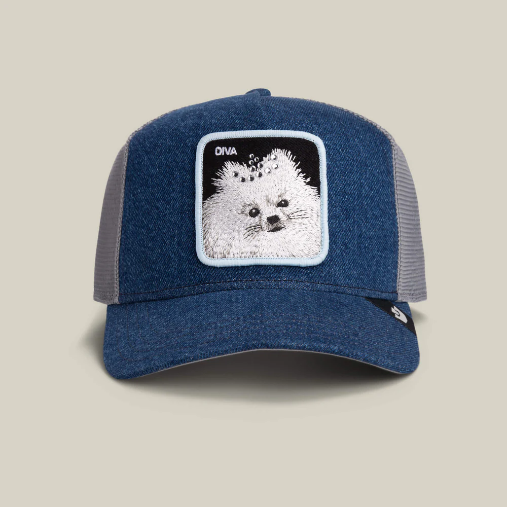 Goorin Bros Diva Dawg Hat