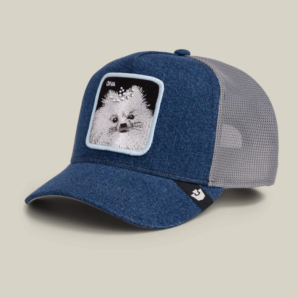 Goorin Bros Diva Dawg Hat
