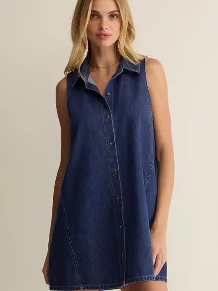 Z Supply New Day Denim Mini Dress