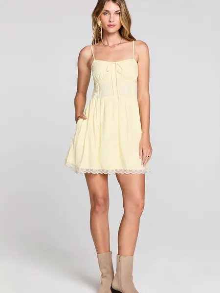 Saltwater Luxe Zurina Mini Dress