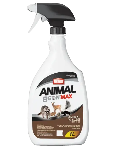 Ortho Animal B Gon RTU 1L