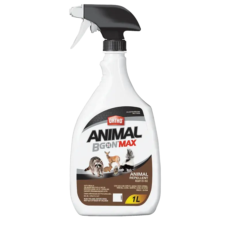 Ortho Animal B Gon RTU 1L