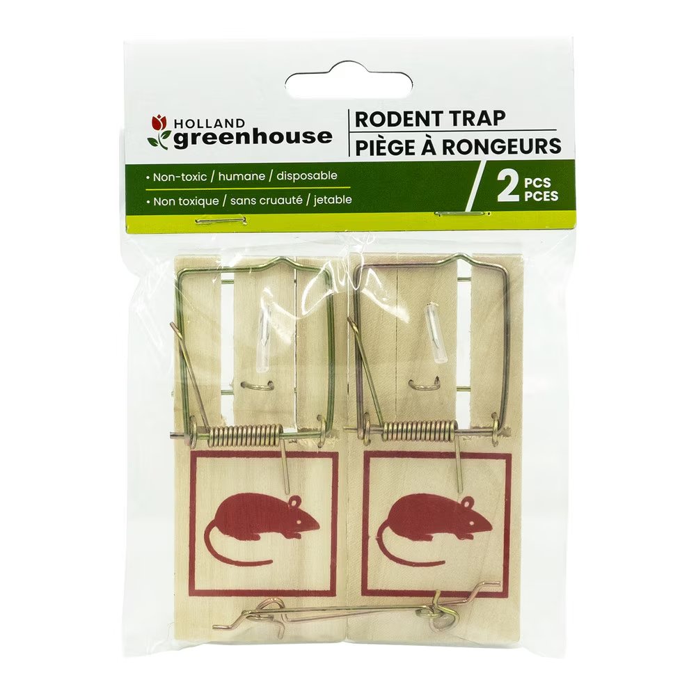 Holland Imports Mouse Trap 2 Pack