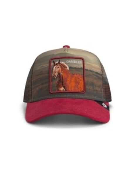 Goorin Bros Stallion in the Elements Trucker Hat