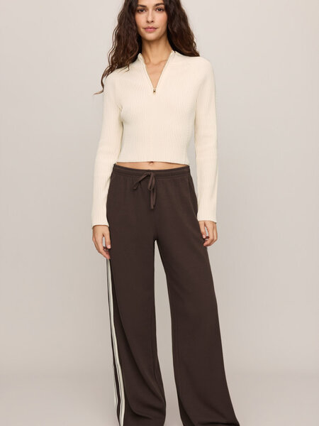 Z Supply Breakaway Track Pants