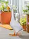 Giddy the Goose